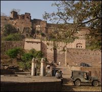 Ranthambore
